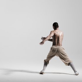 Kungfu kick 3 — figure reference